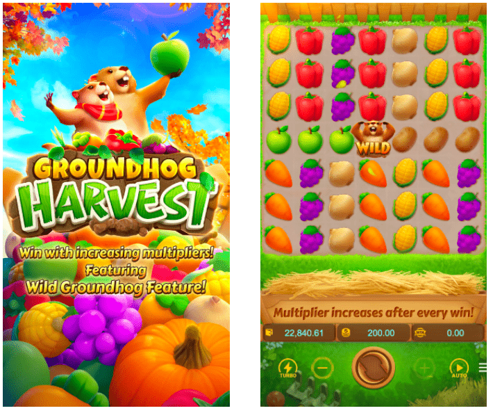 สล็อต PG SLOT Groundhog Harvest PG สล็อต Games Superslot ซุปเปอร์สล็อต รวมเว็บสล็อต ฝาก-ถอน true wallet