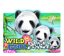 Wild Giant Panda slotxo mobile Game SuperSlot