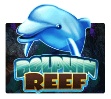 Dolphin Reef slotxo game Game SuperSlot